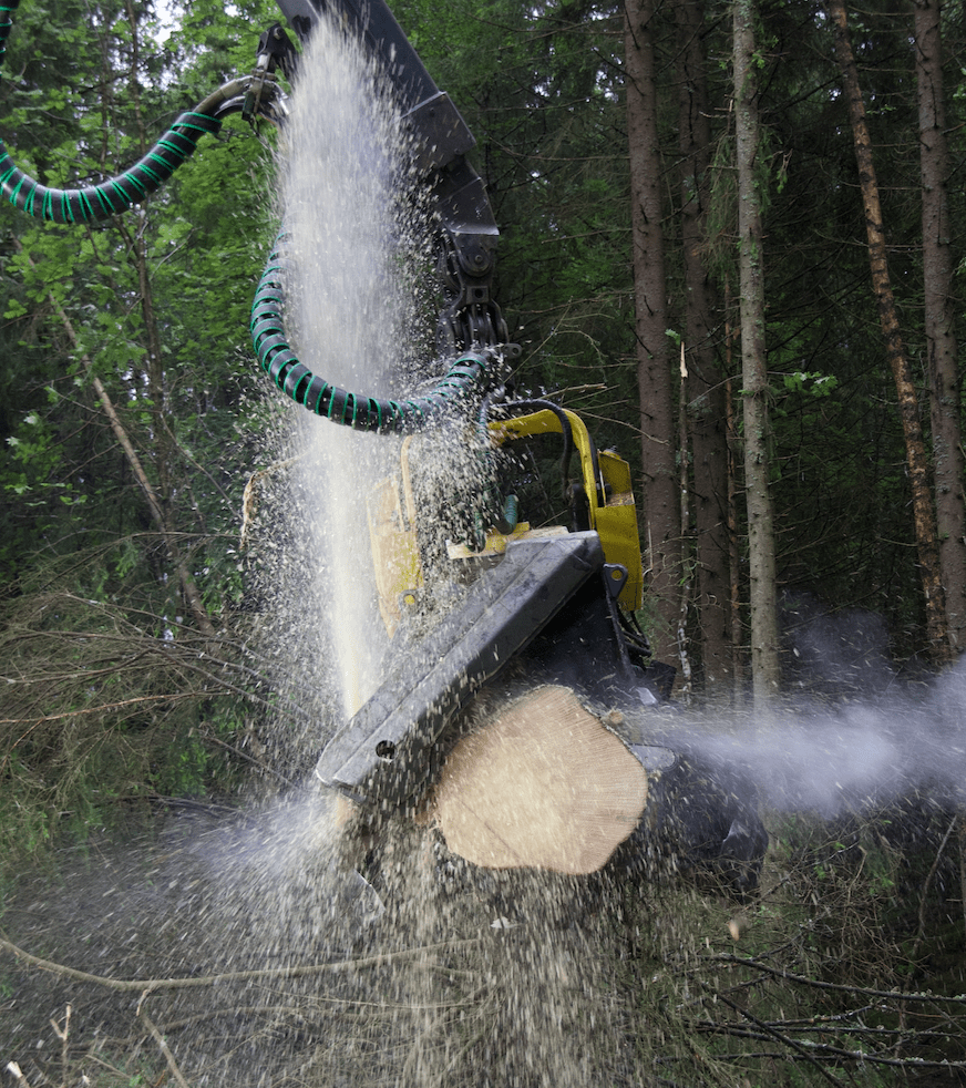 Skjermbilde 2025-06-27 kl. 10.48.38